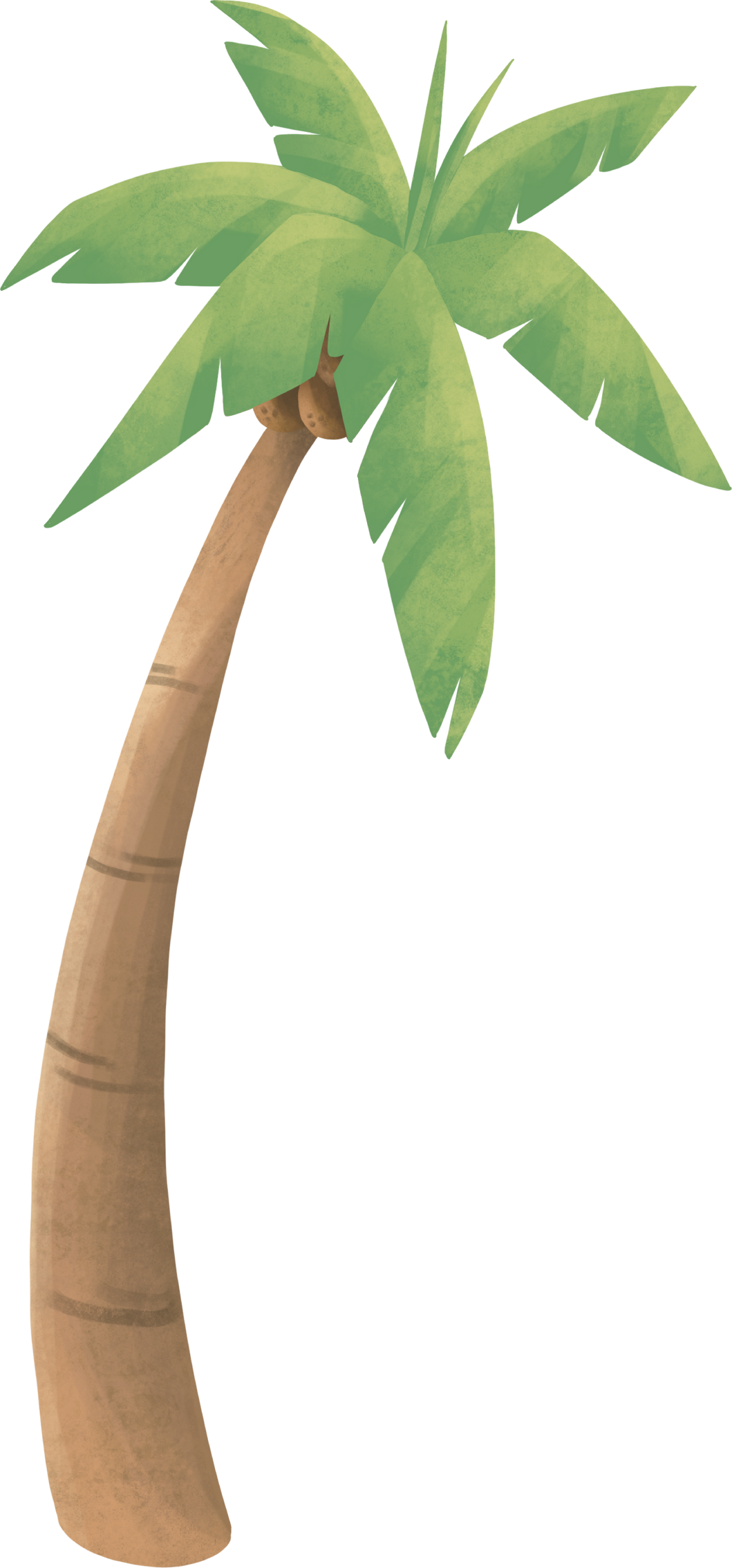 Palm Tree